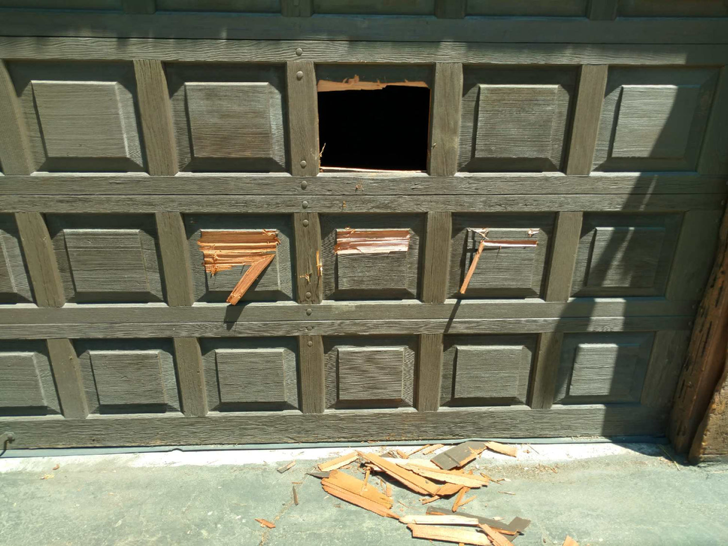 When Bears Break In: Why Neighborhoods Across the U.S. Are Seeing More Bear Encounters