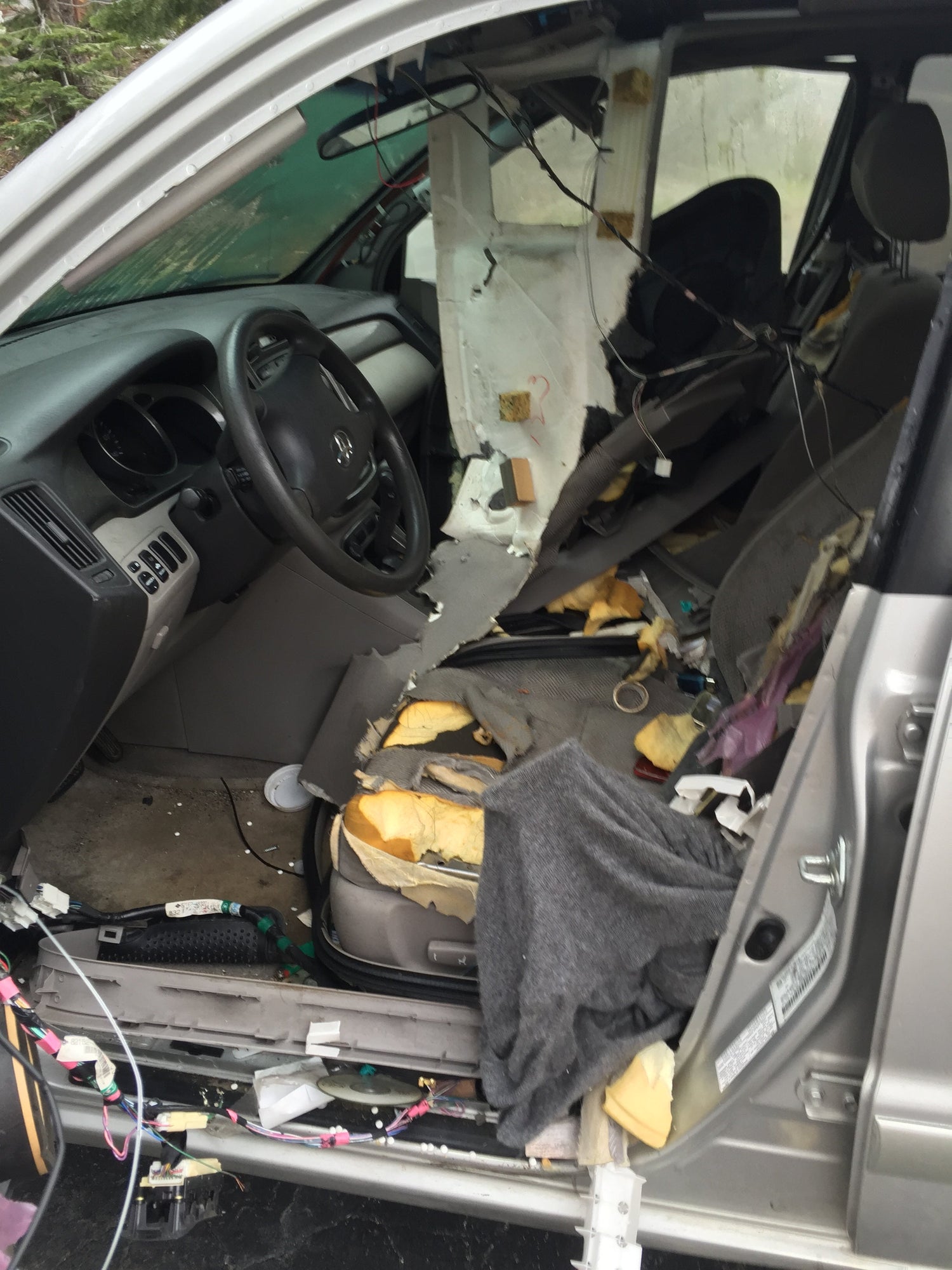Bear-Proof Your Car in One Zap